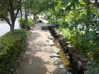 DSC01010.jpg