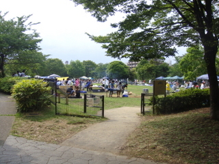 DSC01027.jpg