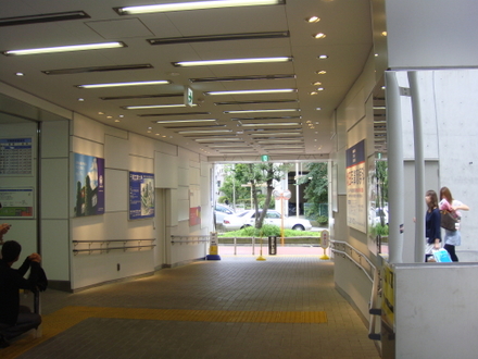 DSC01655.jpg