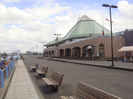 DSC01780.jpg