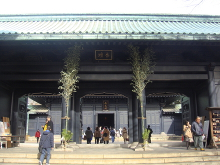 DSC02486.jpg