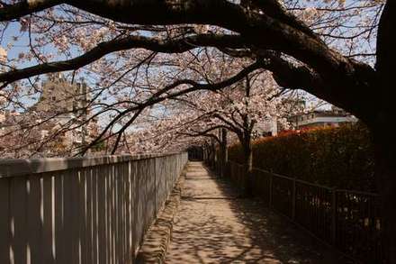 仙台堀川公園.jpg